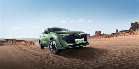 التجهيز لطرح علامة “فينوشيا” بصورتها الجديدة في مصر