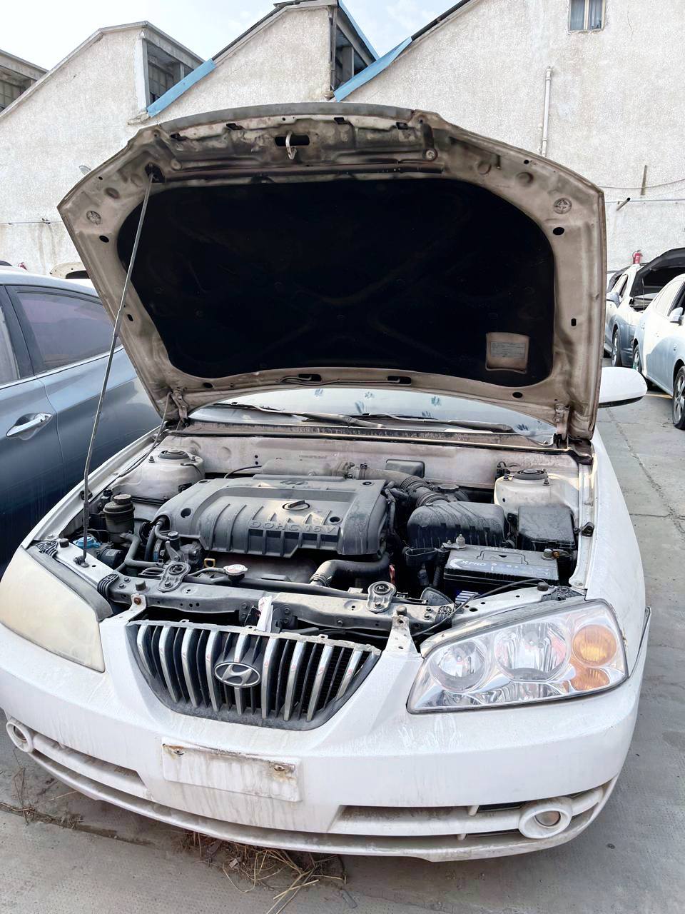 13 مليون جنيه تقريباً حصيلة بيع سيارات وبضائع جمارك بورسعيد ودمياط