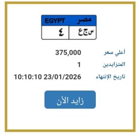 بسعر 375 ألف جنيه : لوحة سيارات وحيدة معروضة للبيع في المزاد بمصر