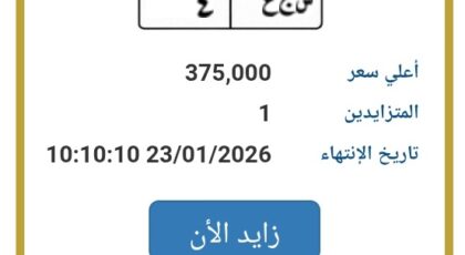 بسعر 375 ألف جنيه : لوحة سيارات وحيدة معروضة للبيع في المزاد بمصر