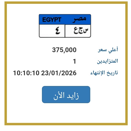 بسعر 375 ألف جنيه : لوحة سيارات وحيدة معروضة للبيع في المزاد بمصر
