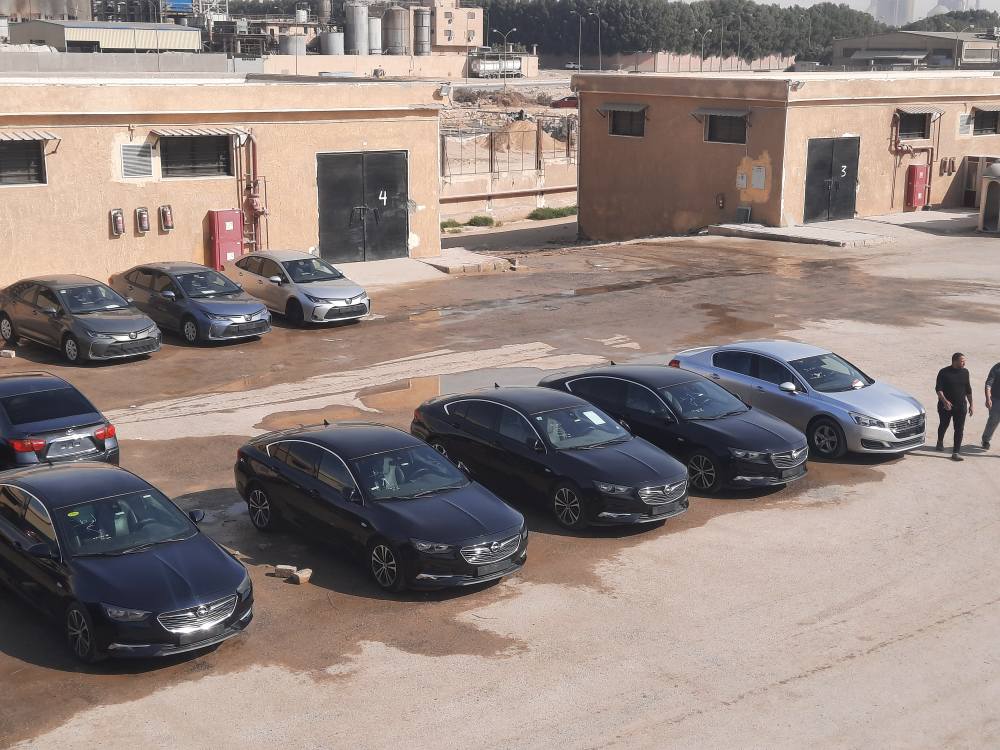 5 مليون و700 ألف جنيه حصيلة مزادات اليوم الخميس
