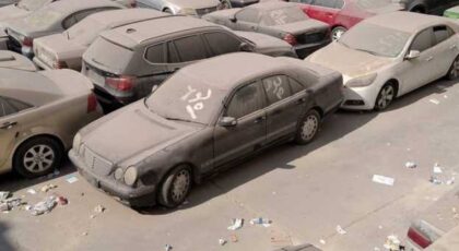 EGP 58 Million Generated from Alexandria Customs Cars and Goods Auction