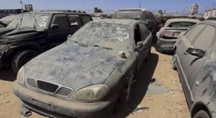 49.5 مليون جنيه حصيلة مزاد سيارات جمرك بورسعيد في مصر
