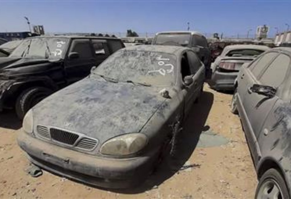49.5 مليون جنيه حصيلة مزاد سيارات جمرك بورسعيد في مصر