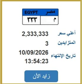 8 لوحات سيارات في المزاد أغلاها 2.3 مليون جنيه