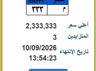 8 لوحات سيارات في المزاد أغلاها 2.3 مليون جنيه