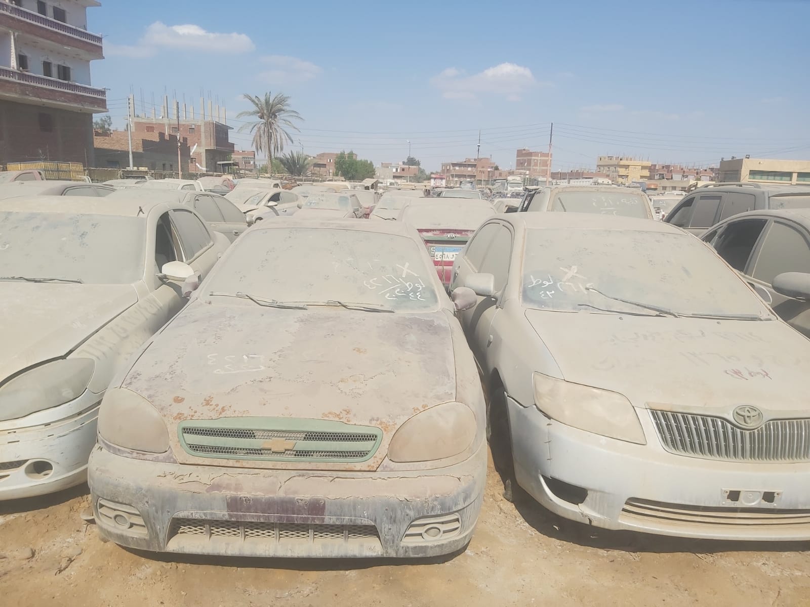 11.5 مليون جنيه حصيلة بيع السيارات في مزاد جمرك مطار القاهرة